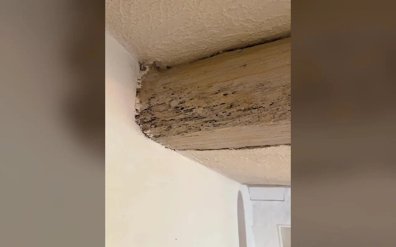 Poutre en bois au plafond, piquée de trous et de traces sombres.