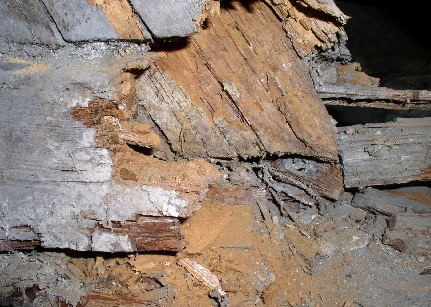 Pied de ferme de charpente détruit, bois effrité et recouvert de poussière rousse.