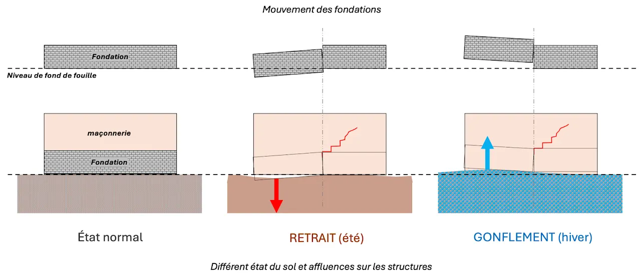 Schéma : mouvement des fondations selon l'état du sol. À l'état normal, le sol est stable ; en période de retrait (été), le sol s'affaisse sous la fondation ; en période de gonflement (hiver), il la soulève. La fissure en escalier apparaît dans la maçonnerie.